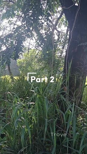 Pinoy Siklista Jakol | Asian Boy with a Veiny Cock Masturbation [part 2/2]