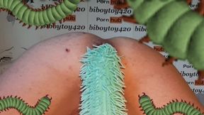 Assfucking centipede crawling in and out,hentai parody.(halloween fun)