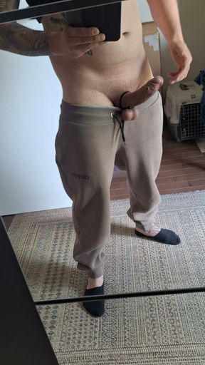 Hard Cock for You