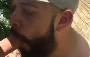 Bear cruising in the woods