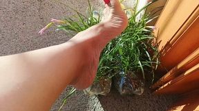 Simply marvelous with pronounced arches (7)