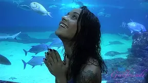 Holly Hendrix in Virtual Vacation Movie - AtkGirlfriends