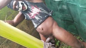 Masturbator have back again with a plantain cum hot
