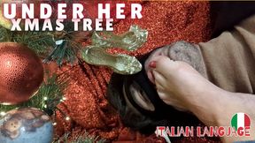 UNDER HER CHRISTMAS TREE - FOOT FETISH, HUMILIATION, JERK OFF - MOBILE 480p