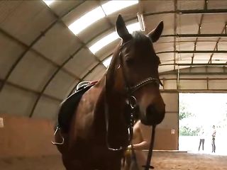 Undressed hotties are pampering their horses whilst boys are staring at 'em all the time