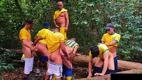 os brasilheirinhos 2026.