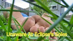 Unaware At Eclipses Soles - 4K Enhanced Edition
