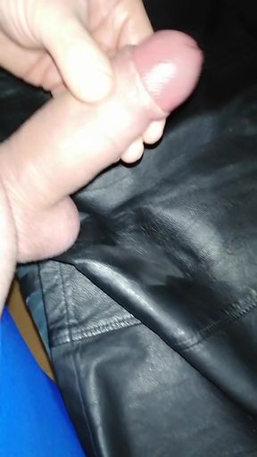 Genuine leather skirt and leather dress