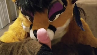 nuzzles your bulge