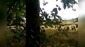dans le bois je me defonce l anus avec du mais