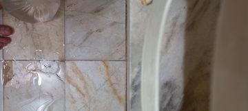 Solo Shower Play with Realistic Sex Toy | POV Masturbation