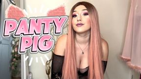 Panty Pig - Panty Sniffer Humiliation
