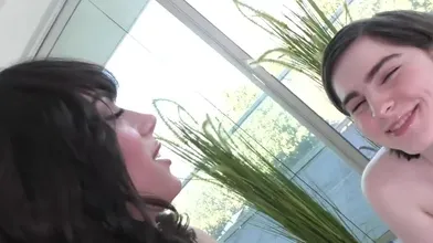 Ts Jean And Ariel Have A Messy Bj And Lusty Bang