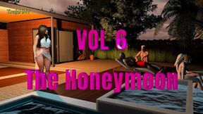 Vol 6 The Honeymoon, Amanda�s Secret Affair