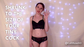 Shrunk to the Size of your Tiny Cock