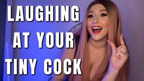 Laughing At Your Tiny Cock
