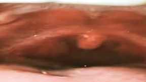 Macro Journey: Nicoletta’s Deep Throat Exploration with Colorful Candies 1080HD