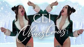 CEI Christmas