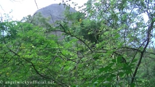 Angel Wicky Brazilian forest