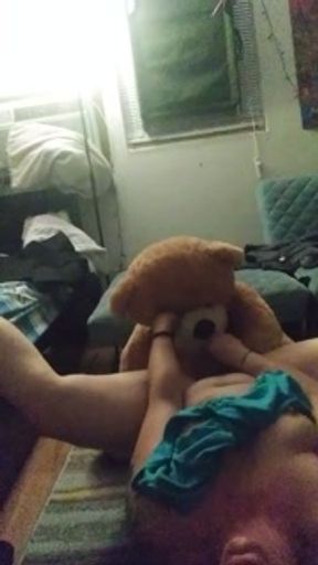 Teddy loves my pussy