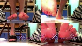 Do you want to be my slipper or my elegant sandal?