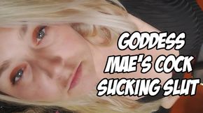 Goddess Mae's Cock Sucking SLUT