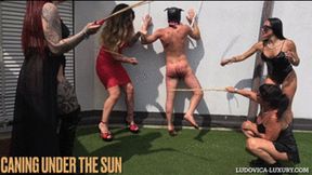 LUDOVICA LUXURY -CANING UNDER THE SUN -hd