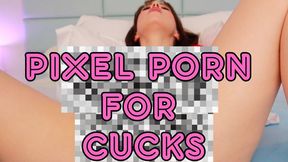 Pixel Porn For Cucks WMV