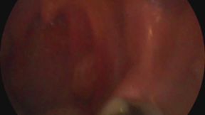 chewing up and spitting you out and playing with you inside my mouth