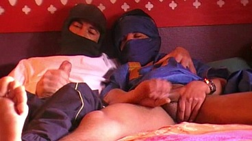 203 / suker of straight arab and marrocina