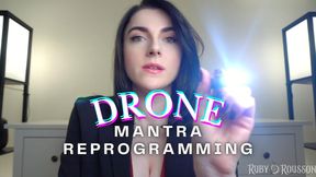 Drone Penlight Mantra 'Good Boy' Reprogramming