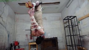 TS slut hangs in an inverted hogtie strap-on face fucked and made to cum (WMV HD 8000kbps)