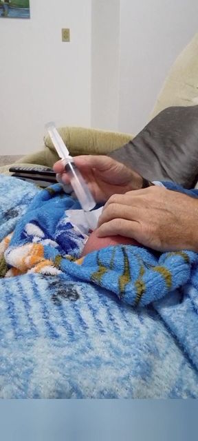 60cc Saline Injection in Each Egg