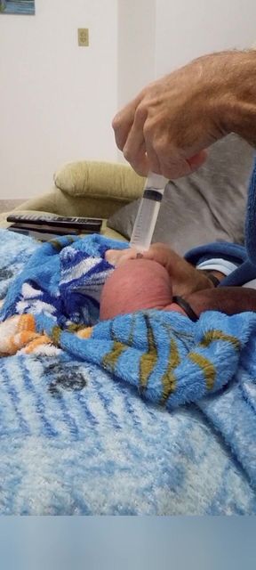 60cc Saline Injection in Each Egg