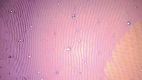 doggy style con milf mexicana culona big butt big ass mexicana latina culona secretaria es cogida estilo vaquero y en cuatro