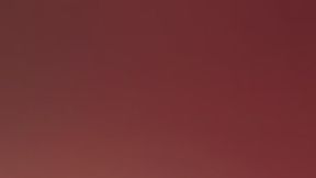 Madam Ayanna's Salon Series : Nail Porn