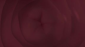 Im in Your Home (futa Shemale)