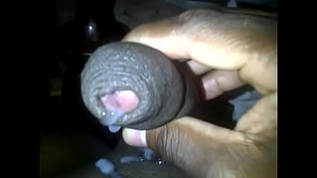 Paja Dominicana