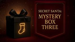 Secret Santa: Mystery Box Three