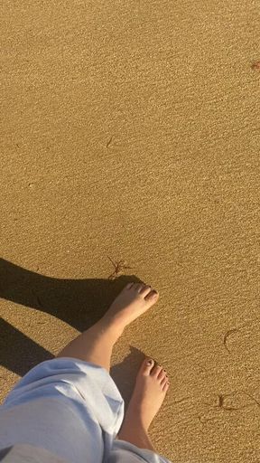 mesmerising pet beach walk🌊🌀