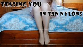 Pussy Play and Teasing in Nylons