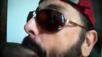 Rio De Janeiro Bull Sucking The Machos Off