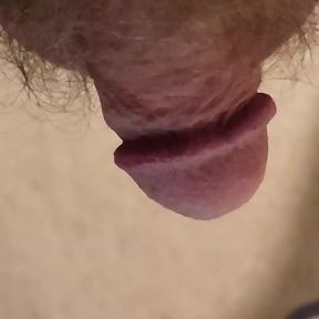 Watch a small hairy cock up close