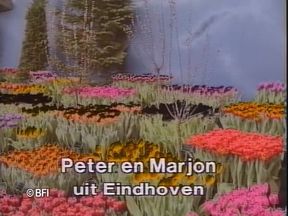 Made in Holland 2 DVD