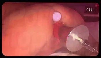 Seth Gamble: Machine Masterclass – Intense Dildo Play & Cum-Filled Pleasure