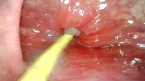 UNLEASHED INTIMATE THRILLS: MY MASSIVE DICK&#x1F346; DRILLING HER ANUS, DEEP FELT CUM LAUNCH
