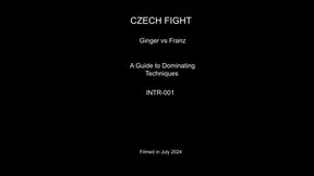 Ginger and Franz - A Guide to Dominating Techniques