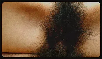 Miu Shinohara caresses her hairy pussy 2026 update