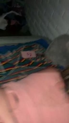 Ghetto Mexican girl gets fucked by big black cock in her ass