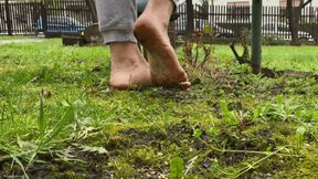 DIRTY FEET WALKING ON GRASS - MOV Mobile Version